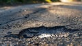 Large deep pothole an example of poor road maintenance due to reducing local council repair budgets. Royalty Free Stock Photo