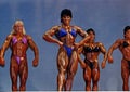 Large, Defined Women Bodybuilders Royalty Free Stock Photo