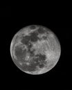 Large detailed full moon with black background and copy space
