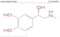 Molecule of Epinephrine