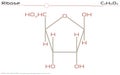 Molecule of Ribose Royalty Free Stock Photo