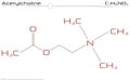 Molecule of Acetylcholine