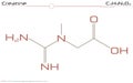 Molecule of Creatine
