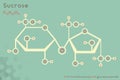 Infographic of the molecule of Sucrose