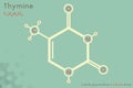 Infographic of the molecule of Thymine Royalty Free Stock Photo