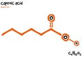 Drawn molecule and formula of Caproic acid