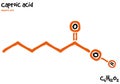 Drawn molecule and formula of Caproic acid