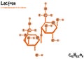 Drawn molecule and formula of Lactose