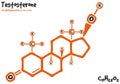 Drawn molecule and formula of Testosterone Royalty Free Stock Photo