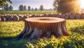Large detailed scenic wooden stump on a food farm, with a cozy village in the background