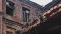 Large dilapidated abandoned factory in St. Petersburg, Red Triangle