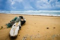 Large driftwood entangled with ropes on Kuaui beach with cloudy skies and roiling ocean in background Royalty Free Stock Photo