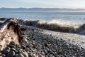 Large driftwood, rocks and waves with mountain view