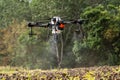 The farmer is spraying the sunflower field remotly with a DJI T20 Agras drone Royalty Free Stock Photo