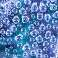 Large drops of water after rain on the web close up on a blue background.