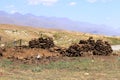 a large dung heap as heating fuel on a horse farm in Kyrgyzstan, Central Asia
