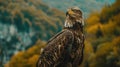A large eagle is perched on a tree branch in a forest Royalty Free Stock Photo