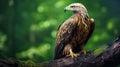 Photorealistic Eagle Perched On Branch With Forest Background