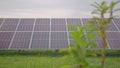 Large Electric Photovoltaic Solar Panel Array