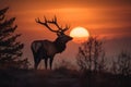 a large elk standing on top of a grass covered field Royalty Free Stock Photo