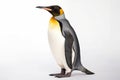 Large emperor penguin standing isolated on white background. Generative AI Royalty Free Stock Photo