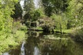 large English garden with pond, waterfall stones and many green shrubs Royalty Free Stock Photo