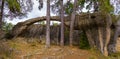 Large eroded stone forming animal figures in the Enchanted City of Cuenca,