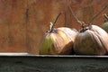 Large exotic dried fruit against an rust brown wall Royalty Free Stock Photo