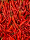 large expanse of red chilies, fresh and appetizing Royalty Free Stock Photo