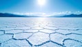 Vast salt flat with cracked hexagonal salt formations under bright sunlight and blue sky with distant mountains Royalty Free Stock Photo