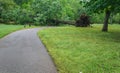 Large Fallen Tree Across the Roanoke River Greenway Royalty Free Stock Photo