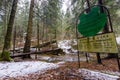 Large fallen trunk of spruce, fir in the woods, mountain river, stream, creek with rapids in late autumn, early winter Royalty Free Stock Photo