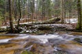 Large fallen trunk of spruce, fir in the woods, mountain river, stream, creek with rapids in late autumn, early winter Royalty Free Stock Photo