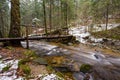 Large fallen trunk of spruce, fir in the woods, mountain river, stream, creek with rapids in late autumn, early winter Royalty Free Stock Photo