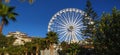 A large Ferris wheel against the background of a blue sky with clouds, green palm and pine trees grow nearby. Royalty Free Stock Photo