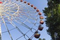 A large Ferris wheel in an amusement park with red and yellow cabins on a blue sky background. Trees in an amusement Royalty Free Stock Photo