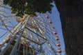 A large Ferris wheel in an amusement park with red and yellow cabins on a blue sky background. Trees in an amusement Royalty Free Stock Photo