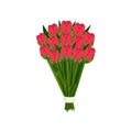 Large festive gift bouquet of pink scarlet tulips in mate paper on empty background