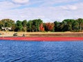 A large field of cranberries bogs