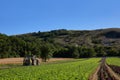 large field of Romaine lettuce and icebergs with agricultural machinery and copy space. Burgos, Medina de Pomar Royalty Free Stock Photo