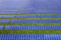 Large field of solar photo voltaic panels system producing renewable clean energy on green grass background