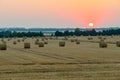 A large field with stacks of mown hay against a background of green planting with trees and the passing sun