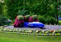 Large figures of bobsledders from pink and green flowers run after a real blue bobsled