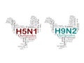 Virus Subtype H5N1 and H9N2 Avian Influenza Outbreaks in Chickens