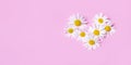 Large filled heart shape made from white daisies on a pink background. Banner