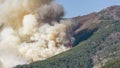 A large fire devours hectares of forest during a man-made natural disaster Royalty Free Stock Photo