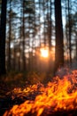 Large fire in tall pine forest with the sun between the trees. Natural disaster Royalty Free Stock Photo