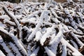 Large firewood stack in winter covered with snow