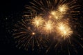 Large fireworks colourful gold festive celebrate dark event exploding glow party new year atmosphere illuminated sparks