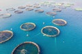 Large fish farm with lots of fish enclosures